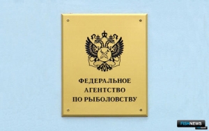 Заявки на аукцион по квотам получили больше времени