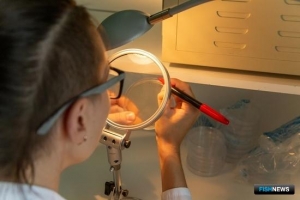 По ветсанэкспертизе сняты не все вопросы, считают в АРПП