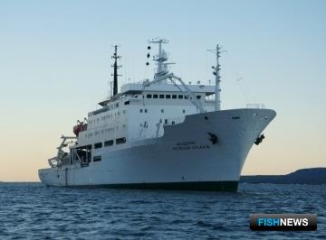 Ученые собрали материал по антарктическому крилю Ученые собрали материал по антарктическому крилю