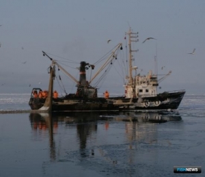Рыбаки предлагают автоматически продлить документы на суда