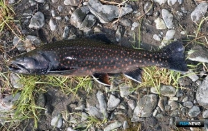 Ученые в третий раз наведаются к каменному гольцу