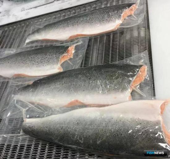 Импорт пищевой продукции переходит на электронные ветсертификаты Импорт пищевой продукции переходит на электронные ветсертификаты