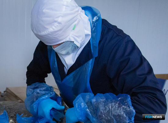 Суд счел ковид уважительной причиной для неосвоения квот