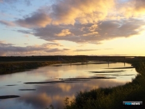 Квоты в Костромской области выставили на торги