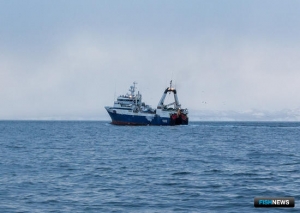 Рыбопромышленники предлагают ряд мер для поддержки отрасли