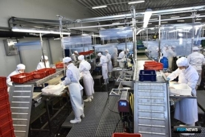 Бизнес избавили от плановых проверок в этом году