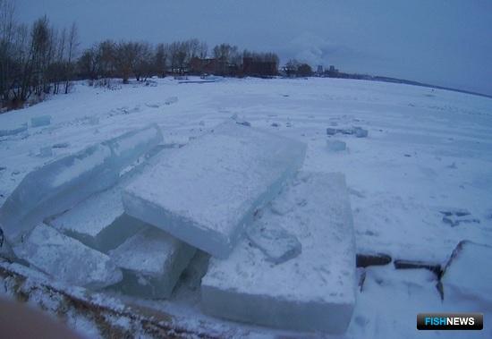 Ледовые городки тоже нужно согласовывать с рыбоохраной Ледовые городки тоже нужно согласовывать с рыбоохраной