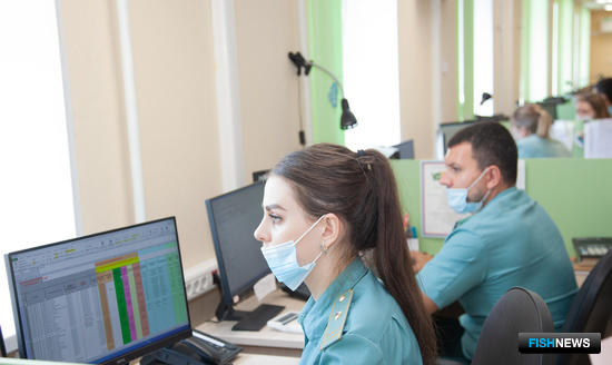 Импортерам товаров готовят послабления Импортерам товаров готовят послабления