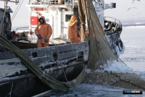 Рыбопромышленникам предоставят кредитные каникулы