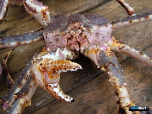 Власти США решили запретить импорт российских морепродуктов