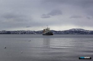 Морской регистр готовится обжаловать исключение из МАКО