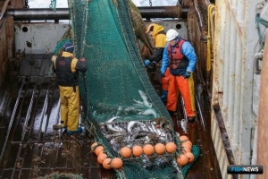 Росрыболовство оперативно отследит объемы поставок