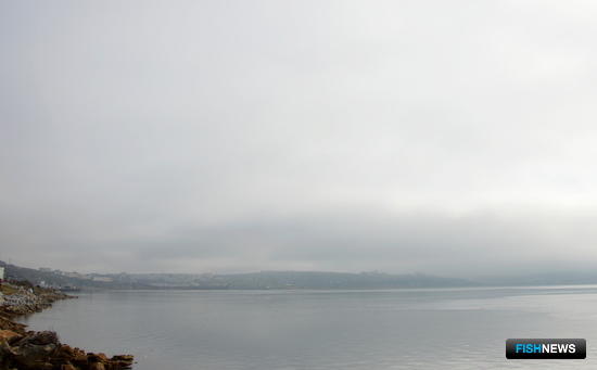 В Магадане хотят реконструировать рыбный порт В Магадане хотят реконструировать рыбный порт