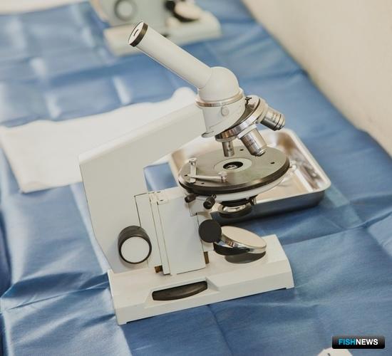 Правила ветеринарной сертификации готовят к переизданию Правила ветеринарной сертификации готовят к переизданию