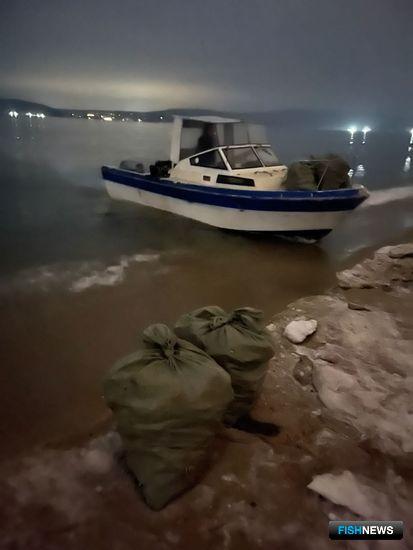 Браконьерский краб не ушел от пограничников Браконьерский краб не ушел от пограничников