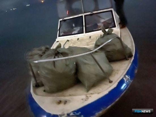 Браконьерский краб не ушел от пограничников Браконьерский краб не ушел от пограничников