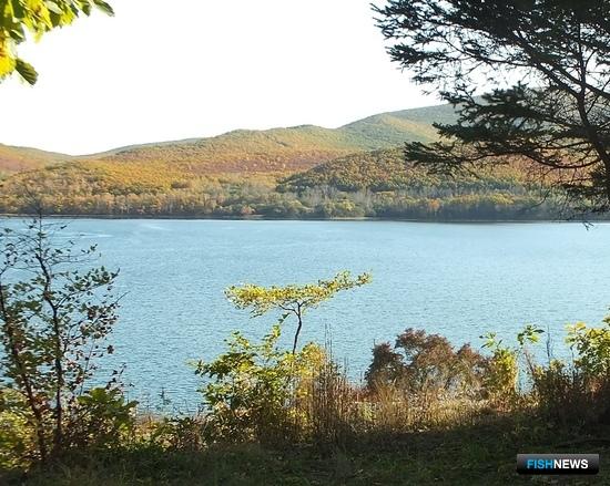 Коренным народам Приморья вновь предложат посостязаться за участки