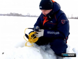 Сибирские ученые собрали данные по промысловым беспозвоночным