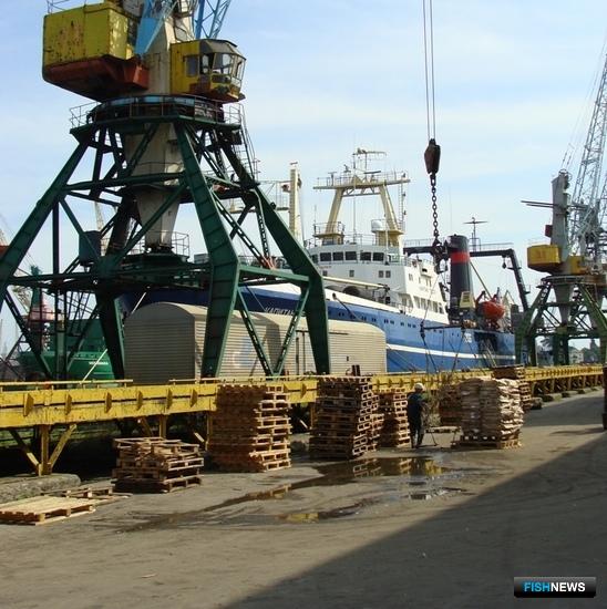 Рыбе с Севера готовят транспортные субсидии