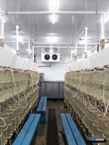 Тобольский рыбопитомник станет технологичнее