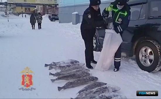 Браконьерский улов изымали по частям Браконьерский улов изымали по частям