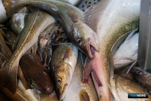 Для российской рыбы подорожает въезд в Великобританию