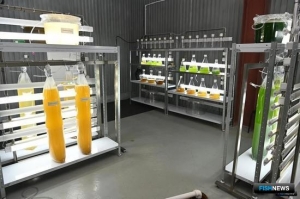 Росрыболовство и Россельхознадзор прокомментировали тему кормов