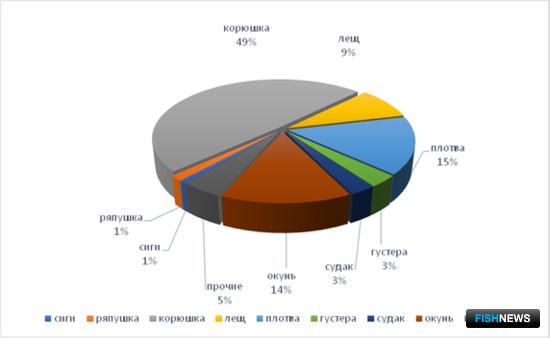 Сколько наловили на Ладоге &mdash; подсчитало Росрыболовство