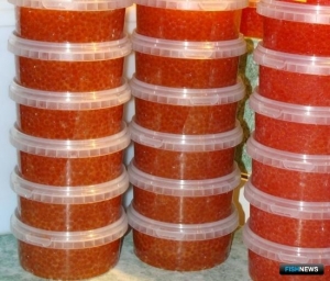 Камчатка попробует перекрыть воздушные пути для браконьерской икры