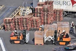 Владивостокский рыбный терминал оптимизирует работу