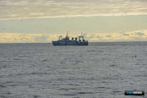 Выдачу промысловых билетов предлагают пока &laquo;отвязать&raquo; от таможенного декларирования судов