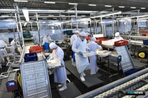 Инвестиции в рыболовство отражаются на регионах