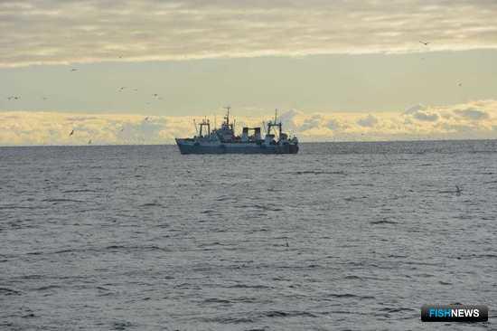 Выдачу промысловых билетов предлагают пока &laquo;отвязать&raquo; от таможенного декларирования судов