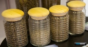 Аквакультуру обещают не оставить без кормов