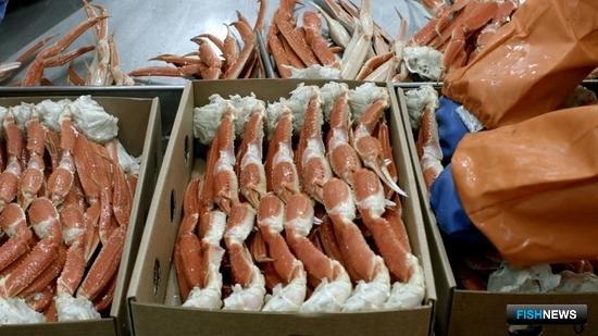 &laquo;Русский краб&raquo; примет лучших студентов на плавпрактику