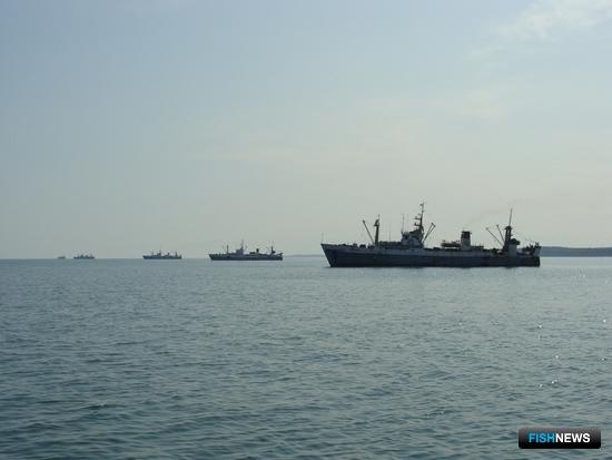 Промысловый флот приглашают за быстрым интернетом