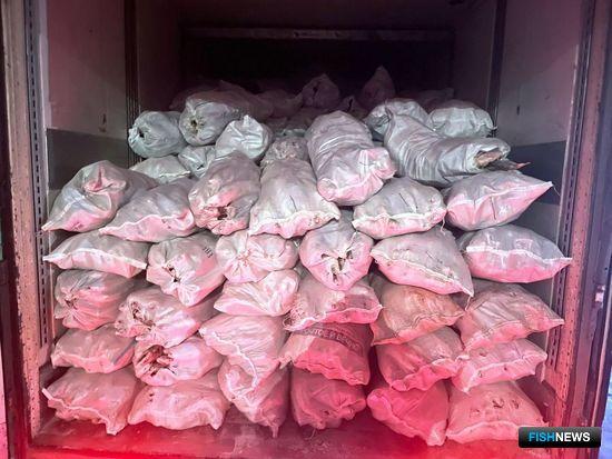 Тюменцы организовали склад нелегальной разнорыбицы Тюменцы организовали склад нелегальной разнорыбицы