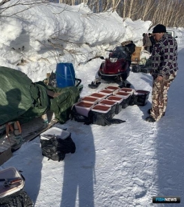 &laquo;Икорный&raquo; рейд на дорогах Камчатки принес богатую добычу