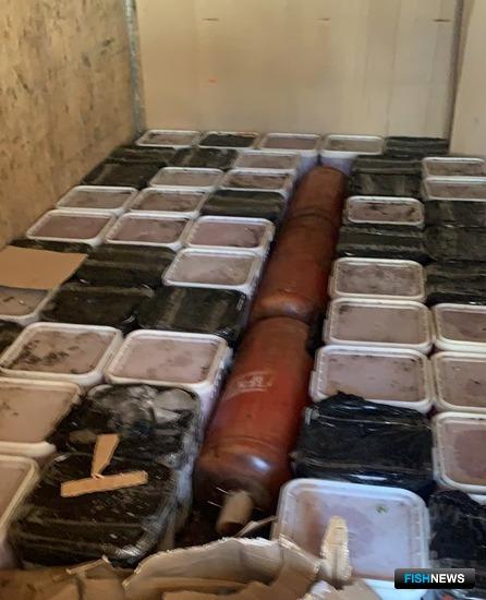 &laquo;Икорный&raquo; рейд на дорогах Камчатки принес богатую добычу