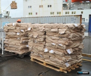 Логистика определила топ импортеров российской рыбы в 2021 году