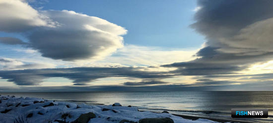 Наука обновила данные о запасах северных морей