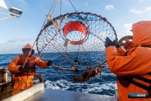 РСПП предложил альтернативу крабовым аукционам