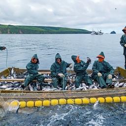 С вызовами проще справляться вместе
