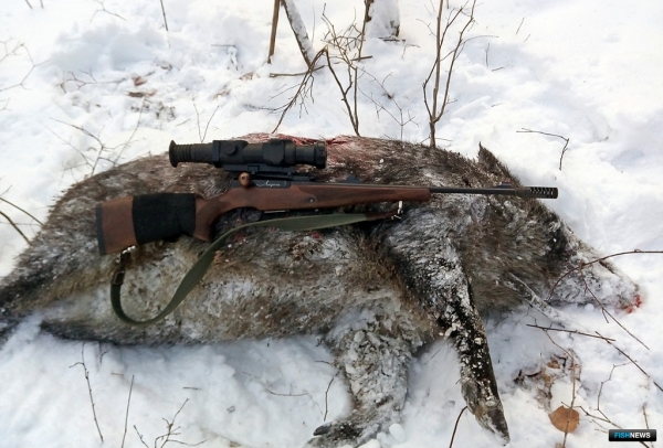 Тайга народная: ловцы и звери