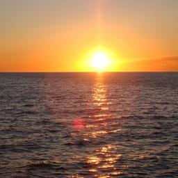 На квоты кальмара и белого налима желающих не нашлось