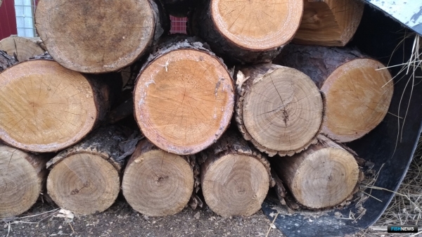 Тайга народная: невечные ценности