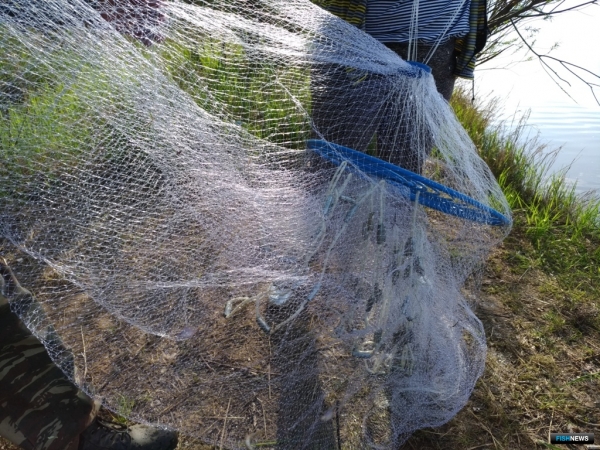 Тайга народная: невечные ценности