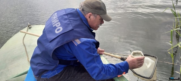 Молодь в лиманах Кубани навестили ученые