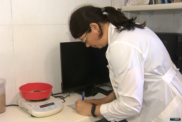 В восстановлении крабовых запасов Приморья участвует «Антей» В восстановлении крабовых запасов Приморья участвует «Антей»