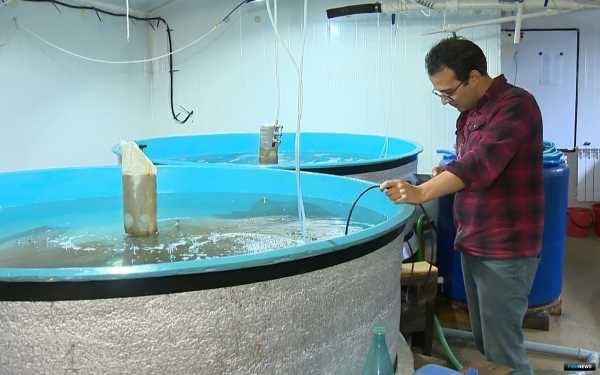 В восстановлении крабовых запасов Приморья участвует «Антей» В восстановлении крабовых запасов Приморья участвует «Антей»